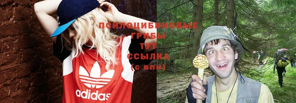 spice Абдулино
