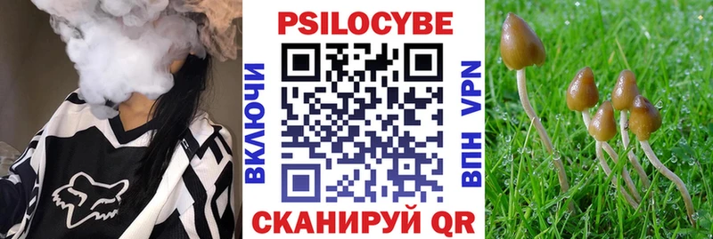 цены наркотик Владимир нарко площадка телеграм Галлюциногенные грибы мицелий